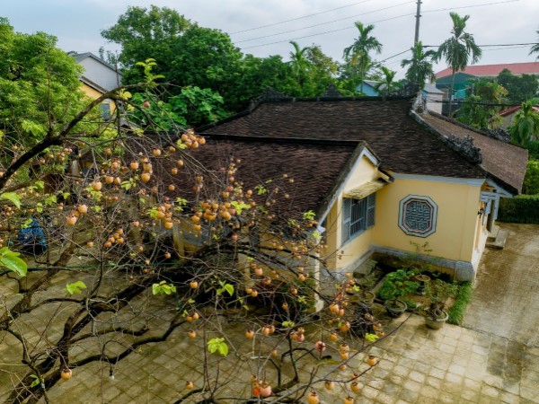 Ảnh bìa bài viết 914746