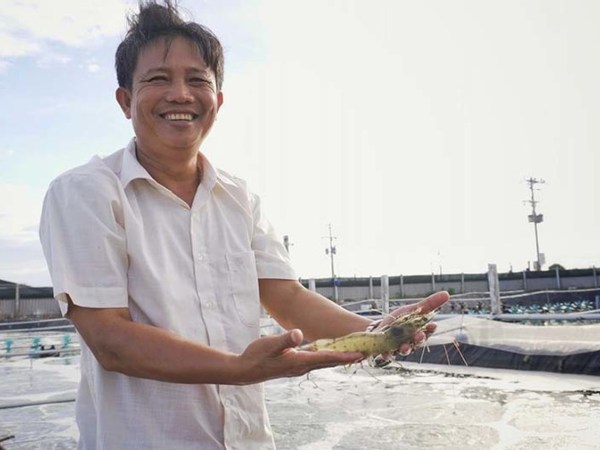 Ảnh bìa bài viết 915022