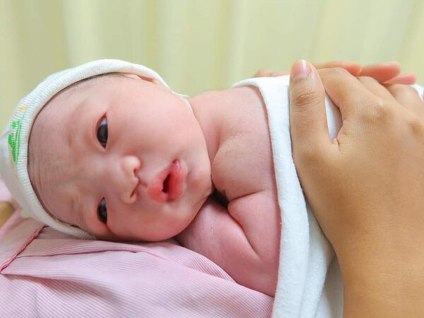 Ảnh bìa bài viết 915139