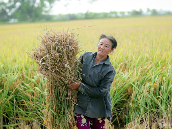 Ảnh bìa bài viết 915644