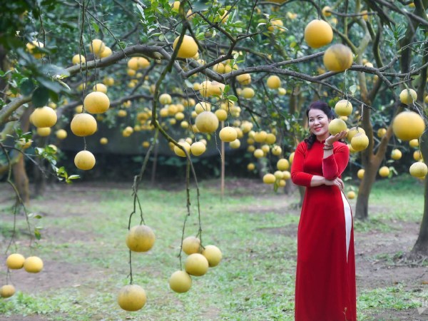 Ảnh bìa bài viết 916137