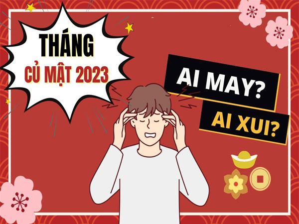 Ảnh bìa bài viết 916507
