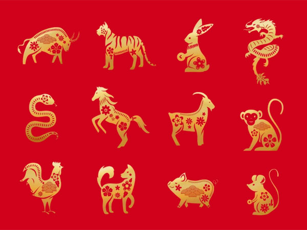 Ảnh bìa bài viết 916718