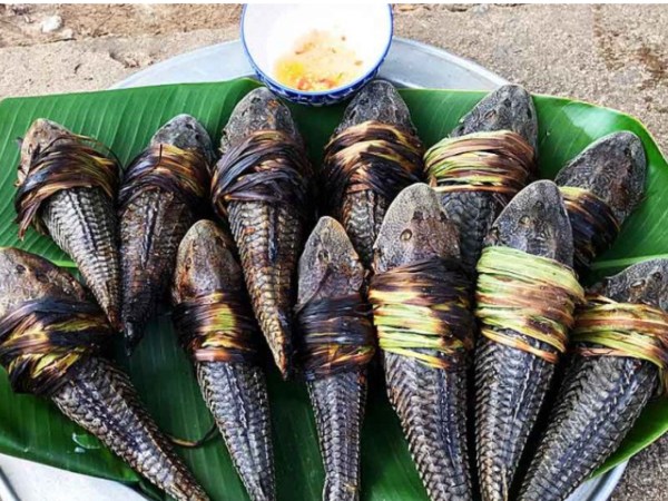 Ảnh bìa bài viết 917348