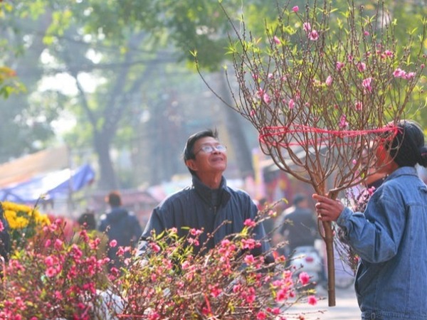 Ảnh bìa bài viết 917500