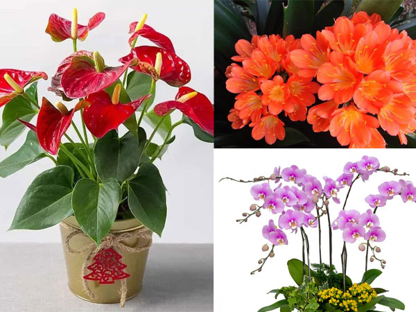Ảnh bìa bài viết 917667