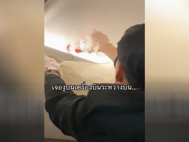 Ảnh bìa bài viết 917819
