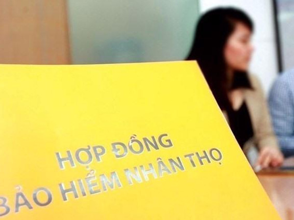 Ảnh bìa bài viết 918021