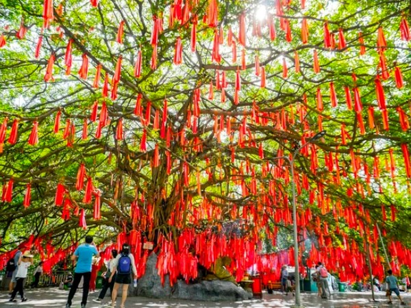 Ảnh bìa bài viết 917942