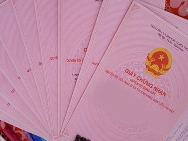 Ảnh bìa bài viết 918707
