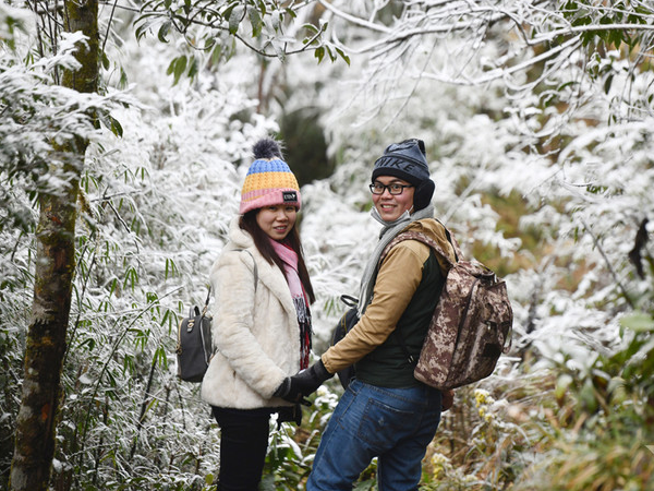 Ảnh bìa bài viết 919185