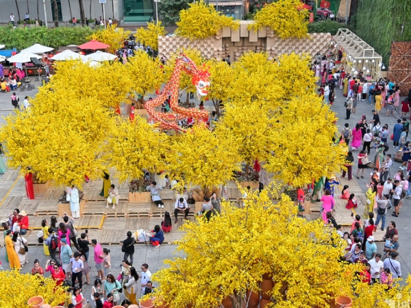 Ảnh bìa bài viết 919473