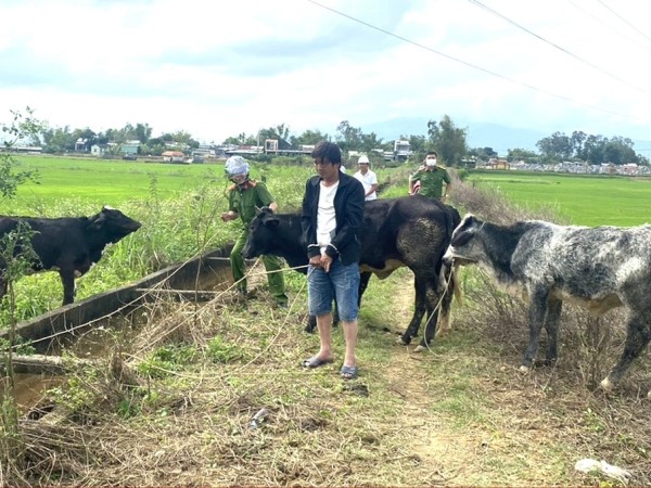 Ảnh bìa bài viết 919948