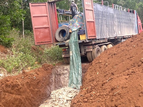 Ảnh bìa bài viết 920570