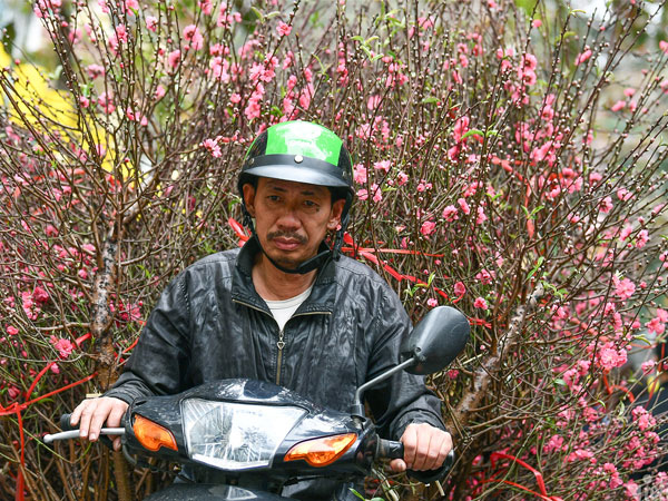 Ảnh bìa bài viết 920512