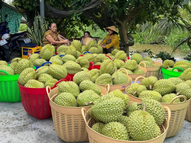 Ảnh bìa bài viết 920576