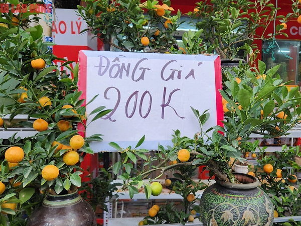 Ảnh bìa bài viết 921174