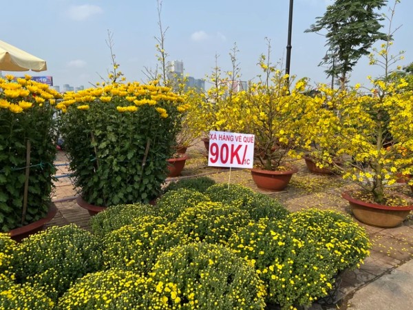 Ảnh bìa bài viết 921242