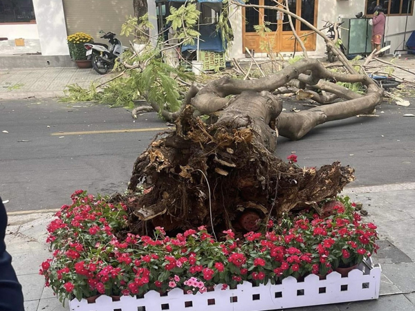 Ảnh bìa bài viết 921259