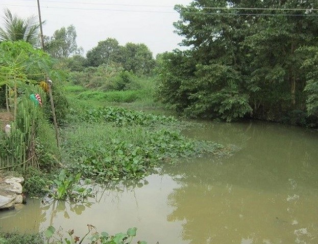 Ảnh bìa bài viết 922062