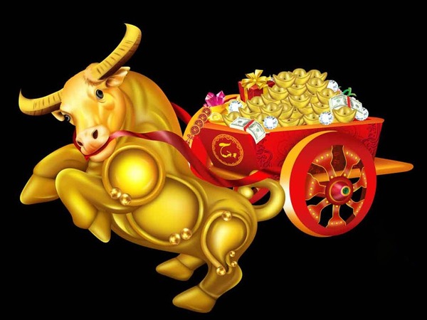 Ảnh bìa bài viết 922119