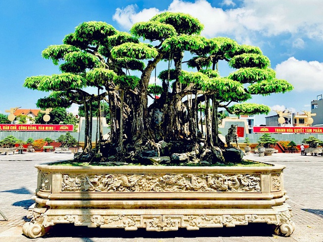 Ảnh bìa bài viết 922127