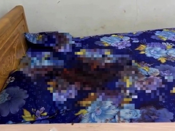 Ảnh bìa bài viết 923190
