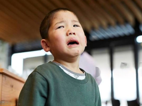 Ảnh bìa bài viết 923298