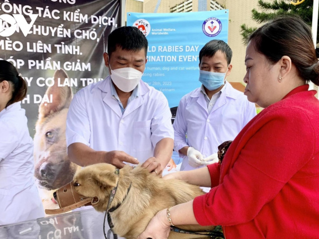 Ảnh bìa bài viết 923464