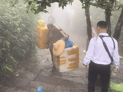 Ảnh bìa bài viết 923610