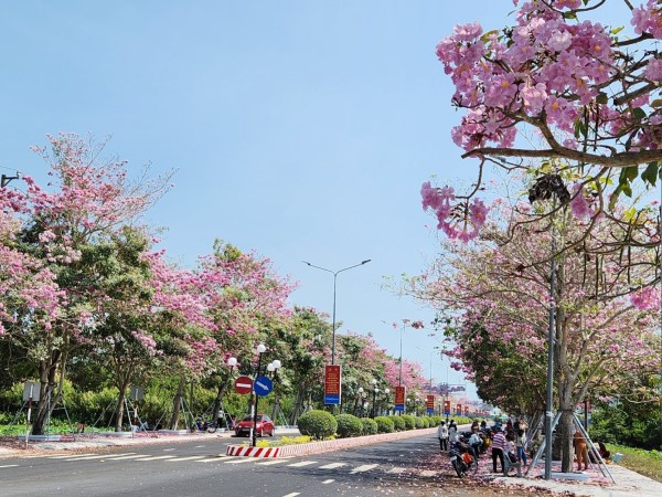 Ảnh bìa bài viết 924516