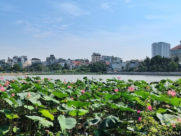 Ảnh bìa bài viết 924698