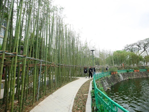 Ảnh bìa bài viết 924841