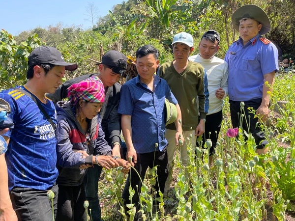 Ảnh bìa bài viết 925157