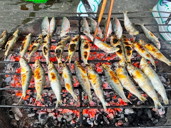 Ảnh bìa bài viết 926281