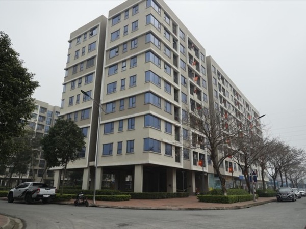 Ảnh bìa bài viết 926426
