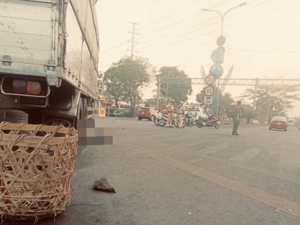 Ảnh bìa bài viết 926805