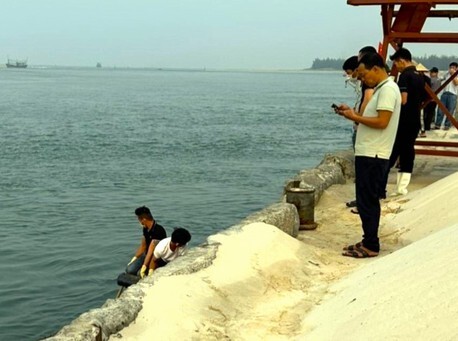 Ảnh bìa bài viết 926910