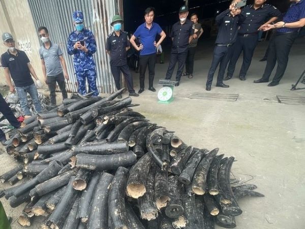 Ảnh bìa bài viết 929476