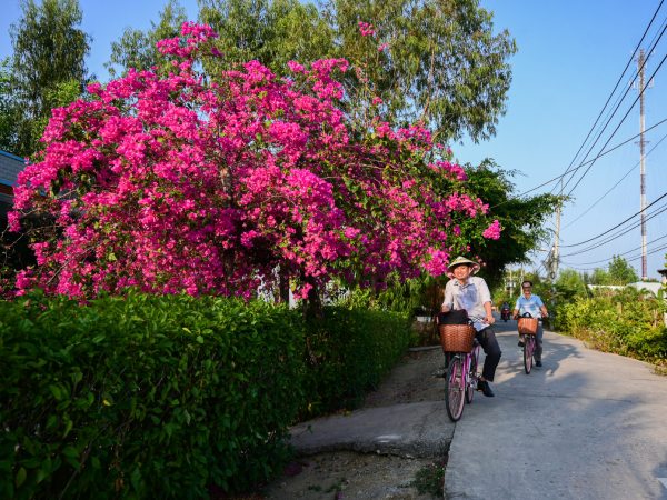 Ảnh bìa bài viết 929698