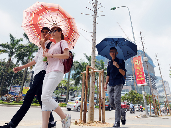 Ảnh bìa bài viết 930042