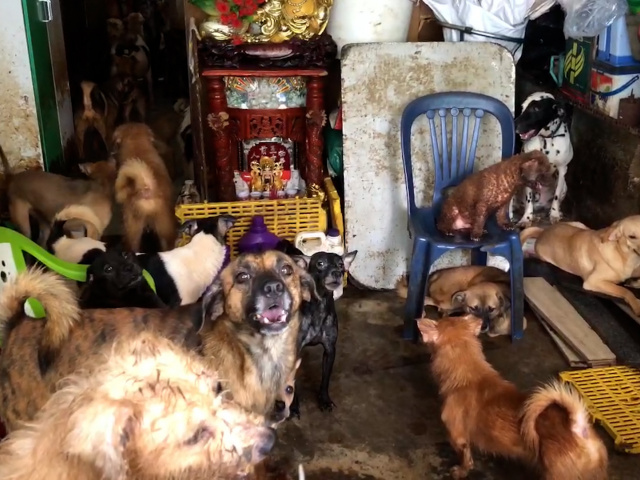 Ảnh bìa bài viết 930195