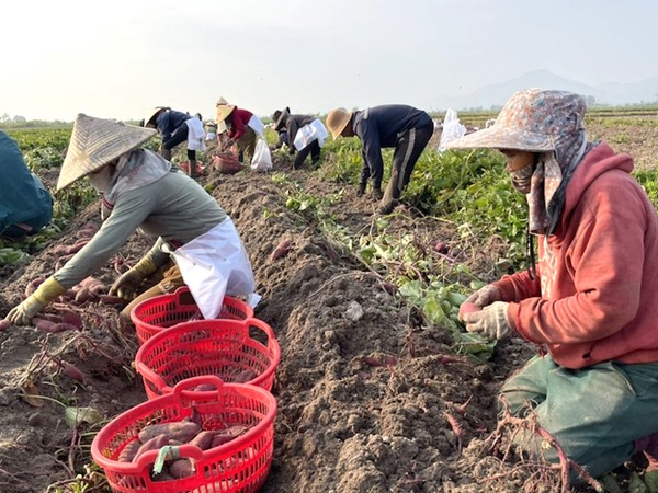 Ảnh bìa bài viết 930392