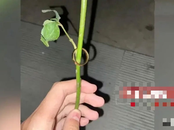 Ảnh bìa bài viết 930857