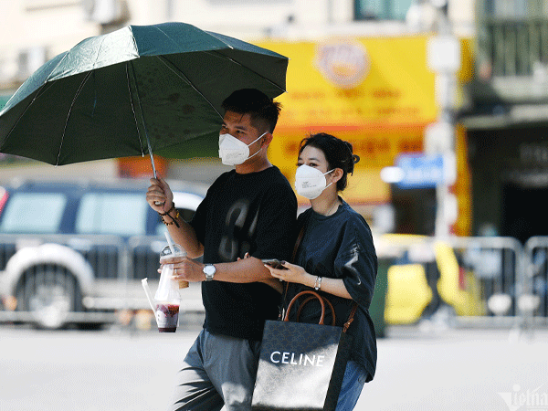 Ảnh bìa bài viết 931154