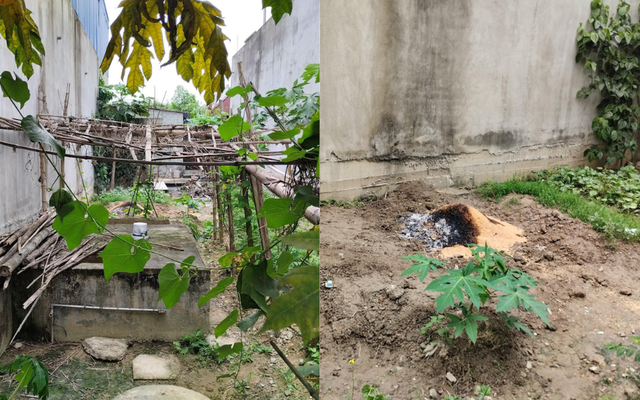 Ảnh bìa bài viết 932508
