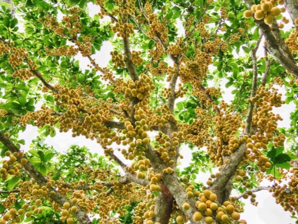 Ảnh bìa bài viết 932609