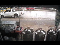 Ảnh bìa bài viết 932856