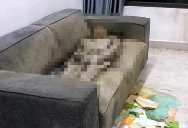 Ảnh bìa bài viết 934518