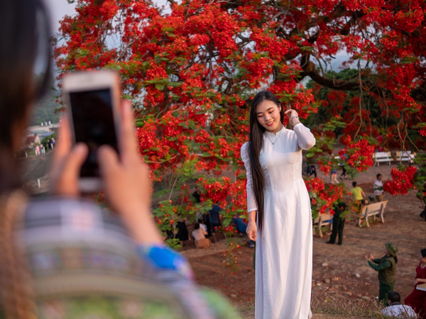Ảnh bìa bài viết 934631